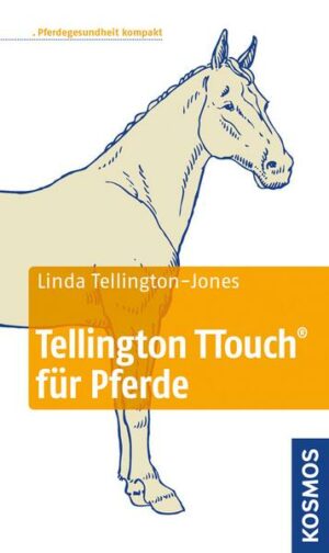 Tellington TTouch für Pferde