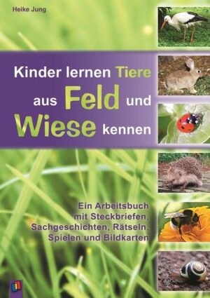 Kinder lernen Tiere aus Feld und Wiese kennen