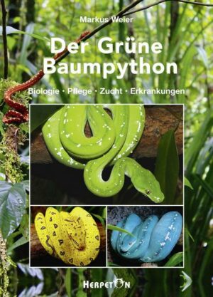 Der Grüne Baumpython