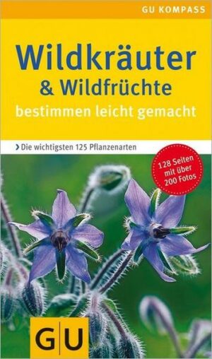 Wildkräuter & Wildfrüchte bestimmen leicht gemacht