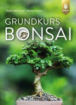 Grundkurs Bonsai