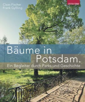 Bäume in Potsdam