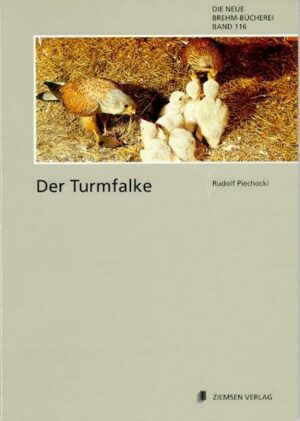 Der Turmfalke