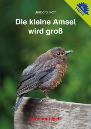 Die kleine Amsel wird groß / Igelheft 83