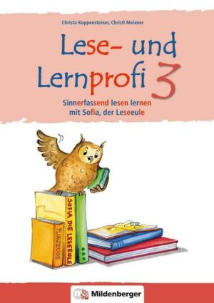 Lese- und Lernprofi 3 – Schülerarbeitsheft – silbierte Ausgabe