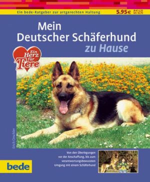 Mein Deutscher Schäferhund zu Hause