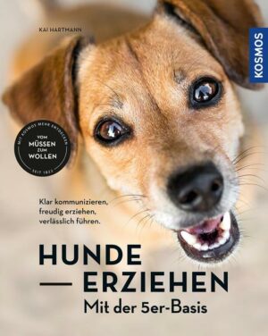 Hunde erziehen – mit der 5er-Basis