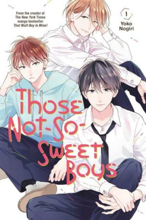 Those Not-So-Sweet Boys 1