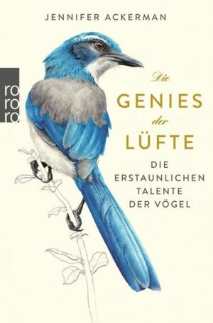 Die Genies der Lüfte