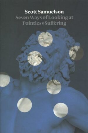 Seven Ways of Looking at Pointless Suffering: What Philosophy Can Tell Us about the Hardest Mystery of All