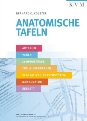 Anatomische Tafeln