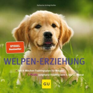 Welpen-Erziehung