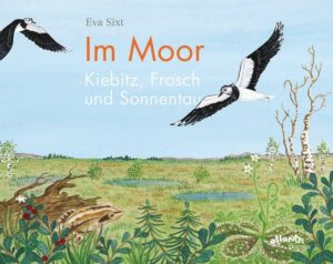 Im Moor – Kiebitz