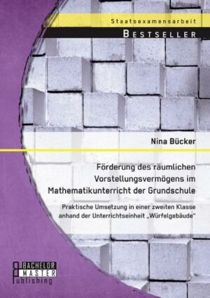 Förderung des räumlichen Vorstellungsvermögens im Mathematikunterricht der Grundschule: Praktische Umsetzung in einer zweiten Klasse anhand der Unterr