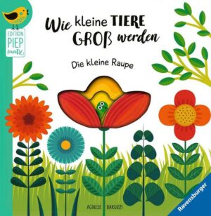 Edition Piepmatz: Wie kleine Tiere groß werden: Die kleine Raupe