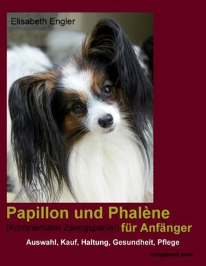 Papillon und Phalène (Kontinentaler Zwergspaniel) für Anfänger