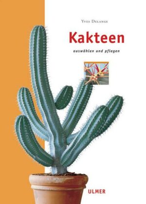 Kakteen