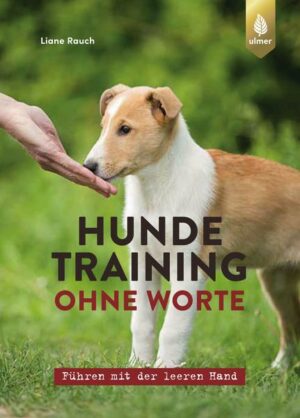 Hundetraining ohne Worte