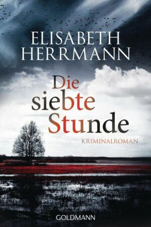 Die siebte Stunde / Joachim Vernau Bd.2