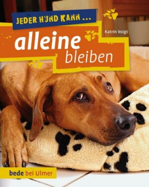 Jeder Hund kann alleine bleiben