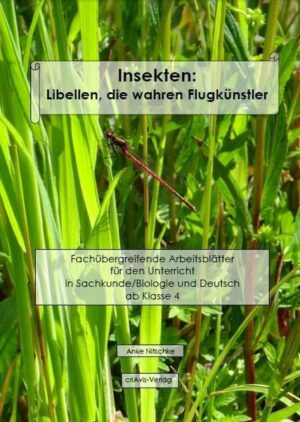 Insekten: Libellen