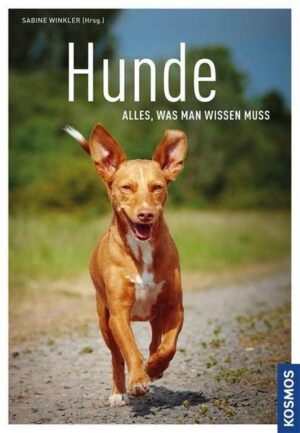 Hunde - alles