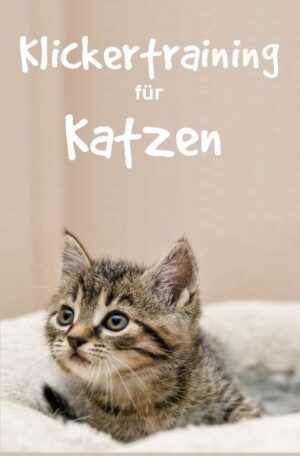 Klickertraining für Katzen