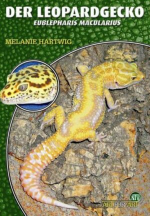 Der Leopardgecko