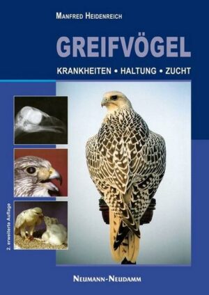 Greifvögel