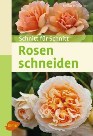 Rosen schneiden