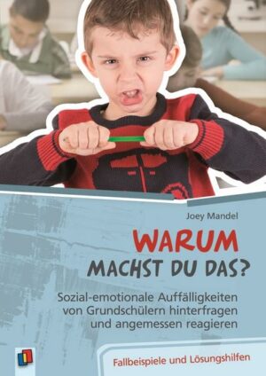 Warum machst du das? Sozial-emotionale Auffälligkeiten von Grundschülern hinterfragen und angemessen reagieren