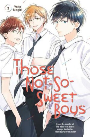 Those Not-So-Sweet Boys 2