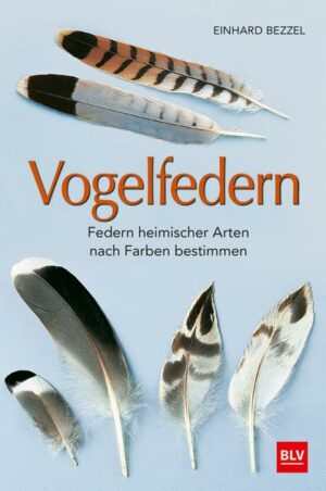 Vogelfedern