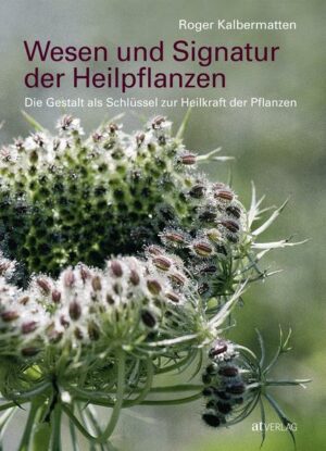 Wesen und Signatur der Heilpflanzen