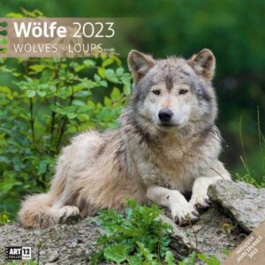 Wölfe Kalender 2023 - 30x30