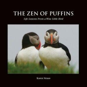 The Zen of Puffins