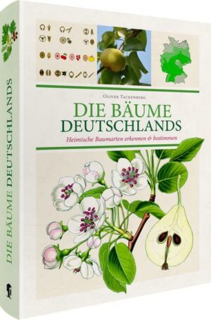 Die Bäume Deutschlands