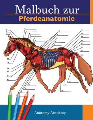 Malbuch zur Pferdeanatomie