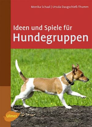 Ideen und Spiele für Hundegruppen