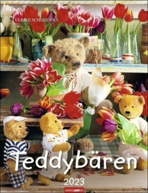 Teddybären Kalender 2023