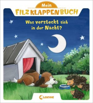 Mein Filzklappenbuch - Was versteckt sich in der Nacht?