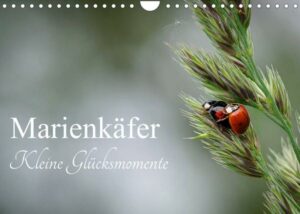 Marienkäfer - kleine Glücksmomente (Wandkalender 2023 DIN A4 quer)