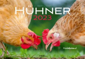 Hühner 2023