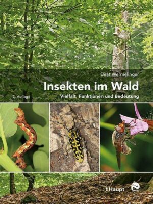 Insekten im Wald