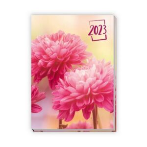 Trötsch Taschenkalender A6 Flowers 2023