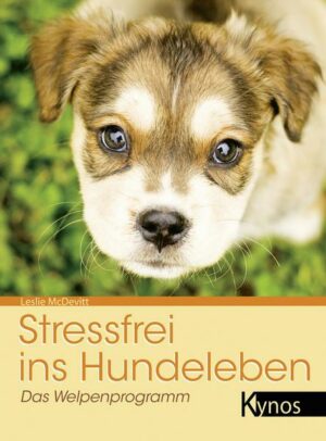 Stressfrei ins Hundeleben