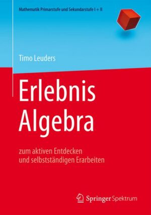 Erlebnis Algebra