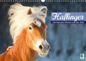 Haflinger: Die blonden Pferde von der Alm (Wandkalender 2023 DIN A3 quer)