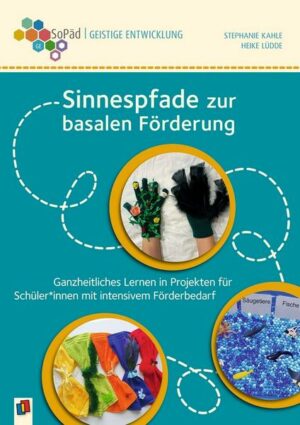 Sinnespfade zur basalen Förderung