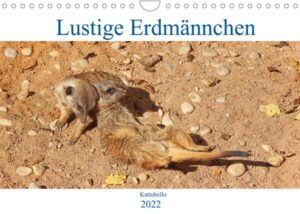 Lustige Erdmännchen (Wandkalender 2022 DIN A4 quer)